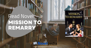 Read Mission to Remarry Novel PDF Full Chapter