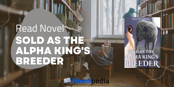 Read Sold as The Alpha King's Breeder Novel Full Chapter