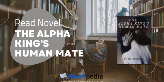 Read The Alpha King's Human Mate "Clark" Novel Full Chapter