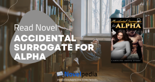Read Accidental Surrogate for Alpha Novel Full Chapter