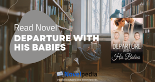 Read Departure with His Babies Novel Full Chapter