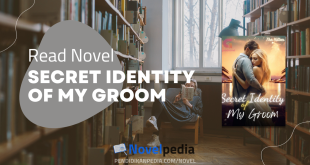 Read Secret Identity of My Groom Novel Full Chapter